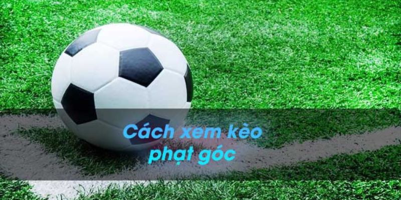 Kèo Phạt Góc Là gì? 5 Mẹo Đánh Kèo Bóng Lấy Tiền Nhà Cái 1 Tìm hiểu về kèo phạt góc để có cách nhận định kèo chuẩn xác