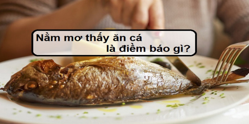 Chiêm Bao Thấy Cá, Đánh Lô Đề Nào Chuẩn Nhất? 2 Mơ thấy được ăn cá báo hiệu sẽ có nhiều tin tốt đến với bạn