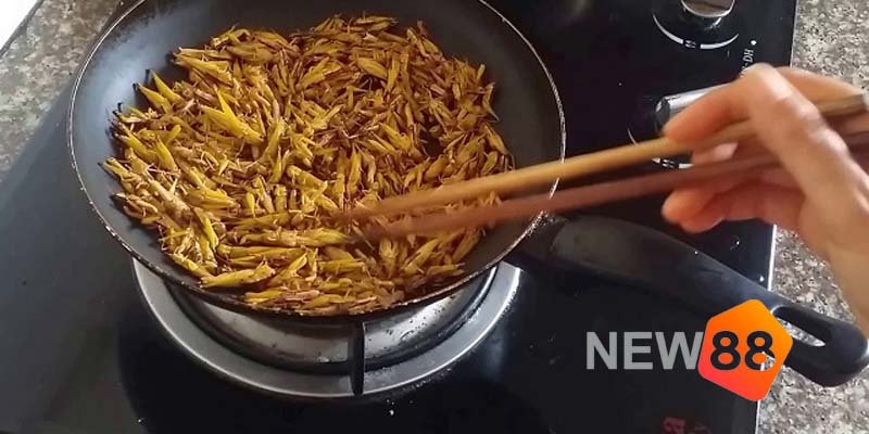 Giải Nghĩa Giấc Mơ Thấy Con Cào Cào Và Điềm Báo Mới 2024 2 Mơ thấy bản thân đang ăn Cào Cào