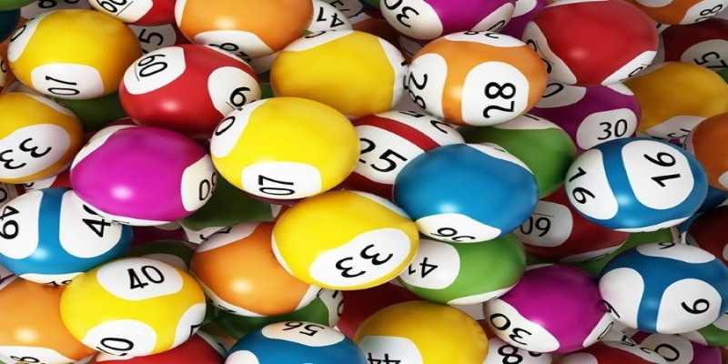 Bạch thủ lô là gì? Cách Nuôi Bạch Thủ Lô Khung 2 Ngày Miễn Phí 1 Bạch thủ lô khung 2 ngày miễn phí rất hữu ích với lô thủ