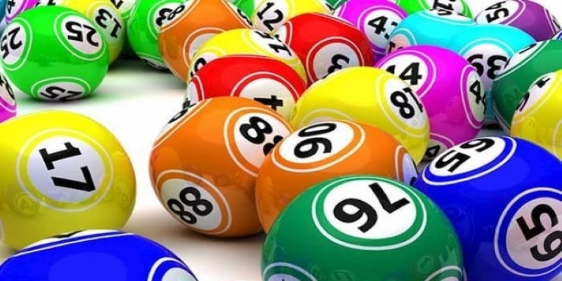 Bạch thủ lô là gì? Cách Nuôi Bạch Thủ Lô Khung 2 Ngày Miễn Phí 2 Bạch thủ lô khung 2 ngày miễn phí có ưu điểm vượt trội