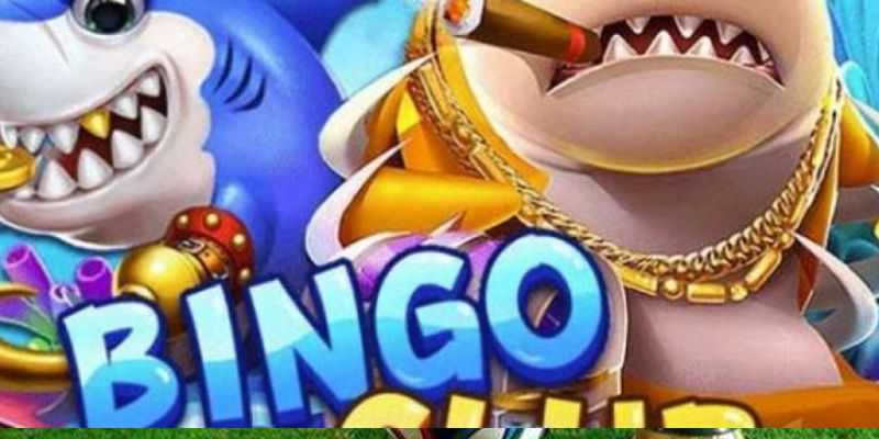 Giải Thích Bắn Cá Bingo Đặc Sắc Cùng 5 Cổng Game Cung Cấp 3 Bắn cá Bingo uy tín và chất lượng, cùng độ sắc nét chân thực nhất