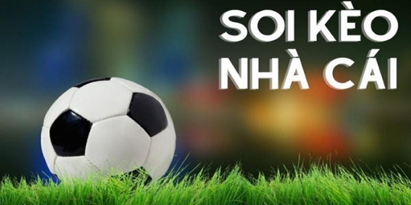 Kết Quả Kèo Nhà Cái Là Gì? 3 Cách Tính Tiền Khi Thắng Kèo Dễ Hiểu Nhất 1 Kết quả kèo nhà cái là gì? Soi ở đâu chuẩn nhất?