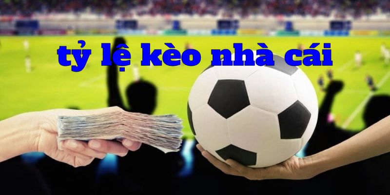 5 Tips Nhận Định Kèo Chuẩn Không Chỉnh Cho Mọi Kèo Bóng 2 Có rất nhiều mẹo để soi kèo chính xác hơn