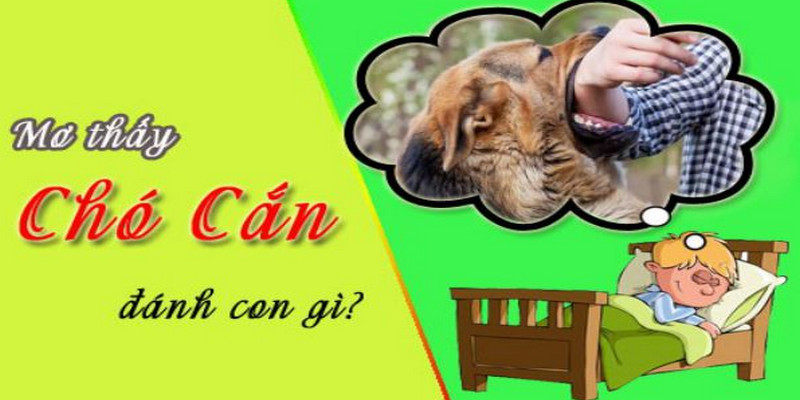 Chiêm Bao Thấy Chó Bật Mí Con Số May Mắn Nào? 3 Chiêm bao thấy chó cắn vào tay thì hãy đánh ngay số 36 hoặc 63