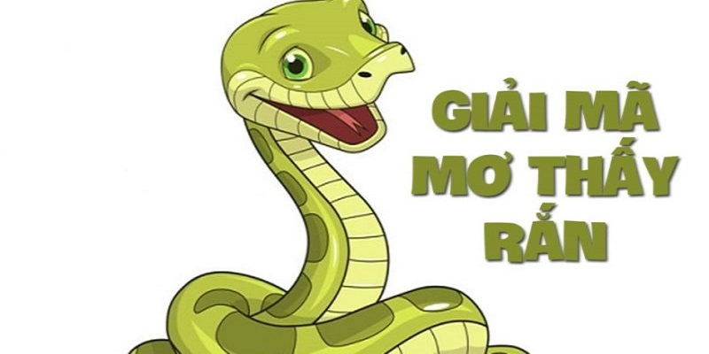 Mơ Thấy Rắn Cắn Đánh Con Gì Cùng Chuyên Gia New88 4 Một số giấc mơ rắn cắn khác