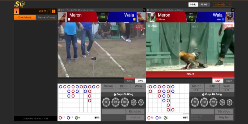 Hướng Dẫn Chi Tiết Các Bước Đăng Ký Đá Gà Thomo Khi Chơi Online 4 Lựa chọn hình thức đặt cược đá gà Thomo